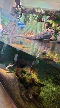 サンシャイン水族館に投稿された画像（2022/9/2）