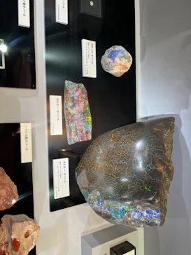 特別展「宝石　地球がうみだすキセキ」（名古屋市科学館　理工館地下２階イベントホール）に投稿された画像（2022/9/2）