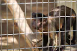 天王寺動物園に投稿された画像（2022/9/3）