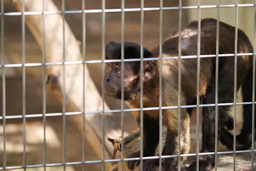 天王寺動物園に投稿された画像（2022/9/3）