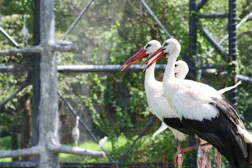 天王寺動物園に投稿された画像（2022/9/3）