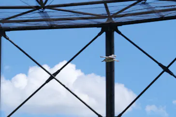 天王寺動物園に投稿された画像（2022/9/3）