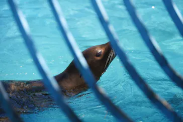 天王寺動物園に投稿された画像（2022/9/3）