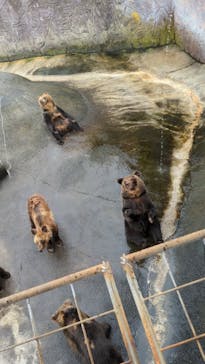 阿蘇カドリー・ドミニオンに投稿された画像（2022/9/3）