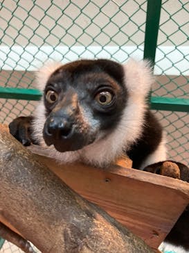 那須ワールドモンキーパークに投稿された画像（2022/9/3）