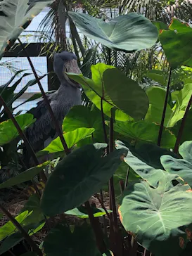 神戸どうぶつ王国に投稿された画像（2022/9/3）