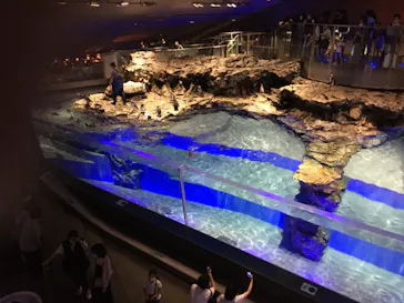 すみだ水族館に投稿された画像（2022/9/3）