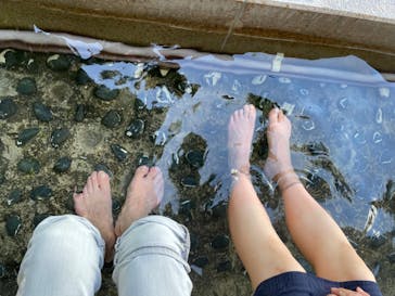 彫刻の森美術館に投稿された画像（2022/9/3）