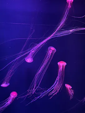 すみだ水族館に投稿された画像（2022/9/3）