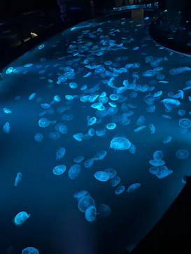 すみだ水族館に投稿された画像（2022/9/3）