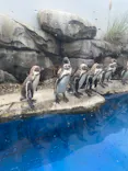 仙台うみの杜水族館に投稿された画像（2022/9/3）