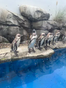 仙台うみの杜水族館に投稿された画像（2022/9/3）