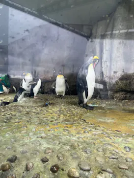 仙台うみの杜水族館に投稿された画像（2022/9/3）