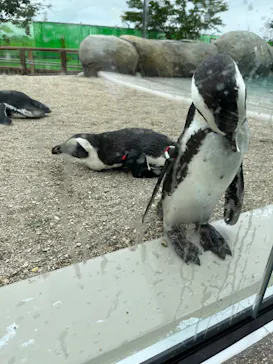 仙台うみの杜水族館に投稿された画像（2022/9/3）