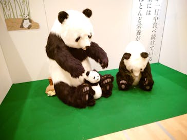 NST新潟総合テレビに投稿された画像（2022/9/3）