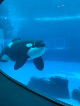 名古屋港水族館に投稿された画像（2022/9/3）