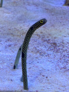 名古屋港水族館に投稿された画像（2022/9/3）