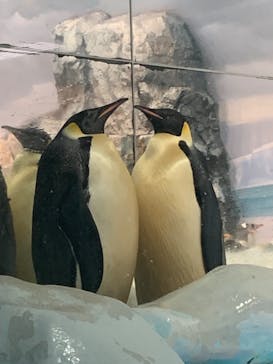 名古屋港水族館に投稿された画像（2022/9/3）