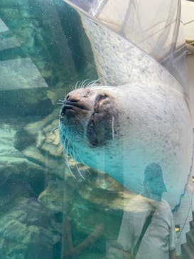 京都水族館に投稿された画像（2022/9/3）