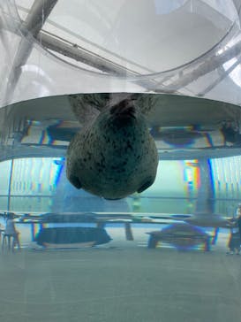 京都水族館に投稿された画像（2022/9/3）