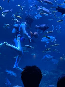 京都水族館に投稿された画像（2022/9/3）