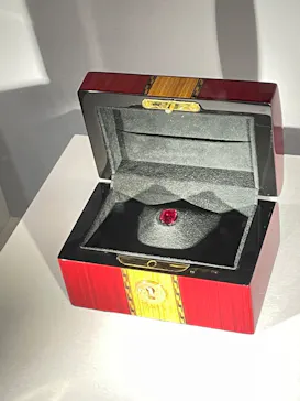 特別展「宝石　地球がうみだすキセキ」（名古屋市科学館　理工館地下２階イベントホール）に投稿された画像（2022/9/3）