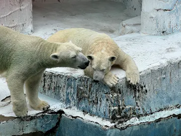 天王寺動物園に投稿された画像（2022/9/3）