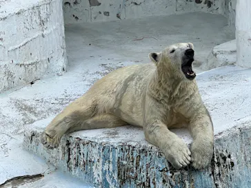 天王寺動物園に投稿された画像（2022/9/3）