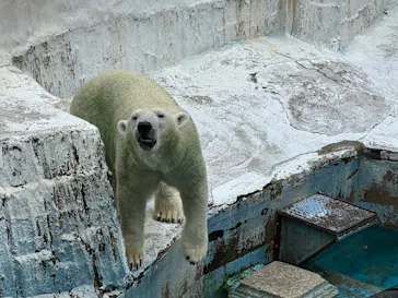 天王寺動物園に投稿された画像（2022/9/3）