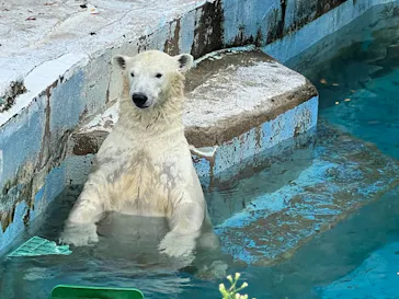 天王寺動物園に投稿された画像（2022/9/3）