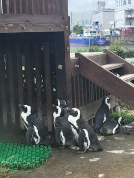 名古屋港水族館に投稿された画像（2022/9/3）