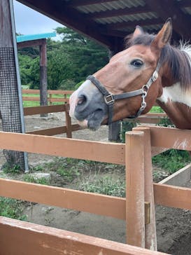 那須どうぶつ王国に投稿された画像（2022/9/3）