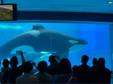 名古屋港水族館に投稿された画像（2022/9/3）