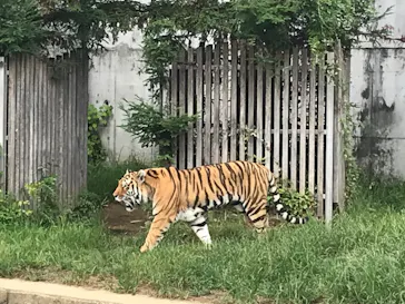 天王寺動物園に投稿された画像（2022/9/3）