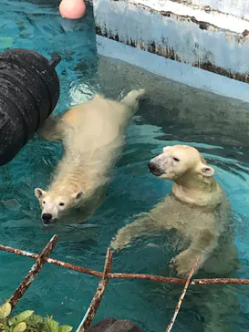 天王寺動物園に投稿された画像（2022/9/3）