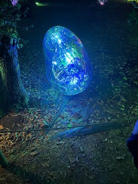 チームラボ ボタニカルガーデン 大阪に投稿された画像（2022/9/3）