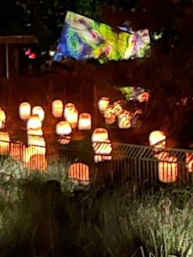 チームラボ ボタニカルガーデン 大阪に投稿された画像（2022/9/3）