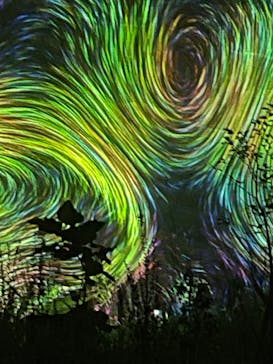 チームラボ ボタニカルガーデン 大阪に投稿された画像（2022/9/3）