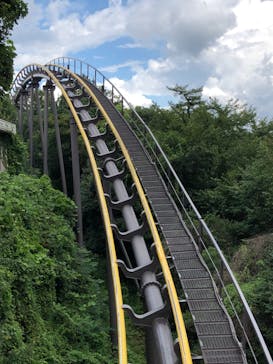 日本モンキーパークに投稿された画像（2022/9/3）