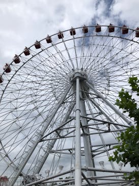 日本モンキーパークに投稿された画像（2022/9/3）