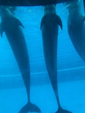 南知多ビーチランド＆南知多おもちゃ王国に投稿された画像（2022/9/3）