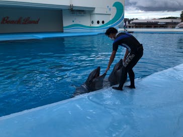 南知多ビーチランド＆南知多おもちゃ王国に投稿された画像（2022/9/3）