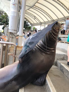 南知多ビーチランド＆南知多おもちゃ王国に投稿された画像（2022/9/3）