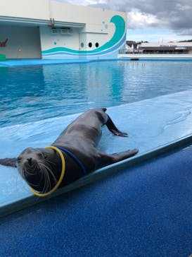 南知多ビーチランド＆南知多おもちゃ王国に投稿された画像（2022/9/3）