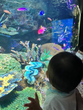 サンシャイン水族館に投稿された画像（2022/9/3）