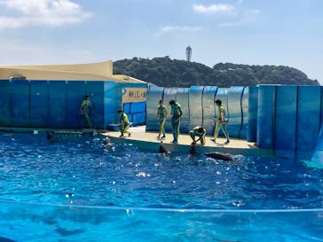 新江ノ島水族館に投稿された画像（2022/9/3）