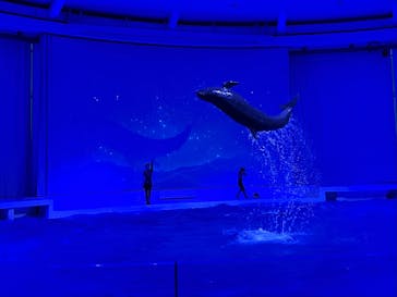 アクアワールド茨城県大洗水族館に投稿された画像（2022/9/3）