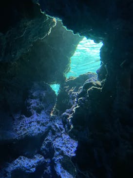 サンシャイン水族館に投稿された画像（2022/9/3）