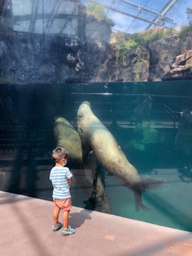 環境水族館アクアマリンふくしまに投稿された画像（2022/9/4）