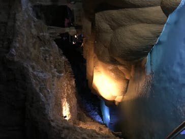 おきなわワールドに投稿された画像（2022/9/4）